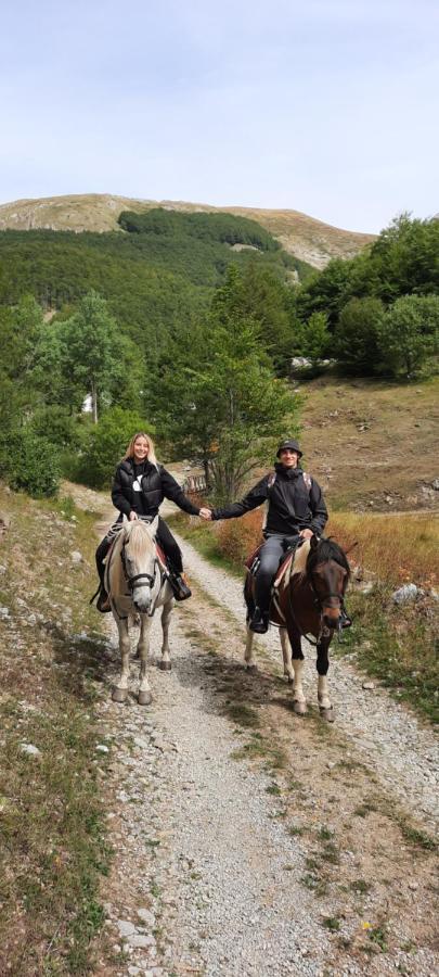 Katun Mokra Accommodation & Horseback Riding Podgorica Ngoại thất bức ảnh